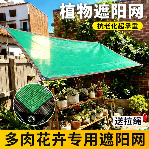 植物遮阳网绿色防晒隔热网庭院户外阳台多肉专用遮光网花卉遮阴网