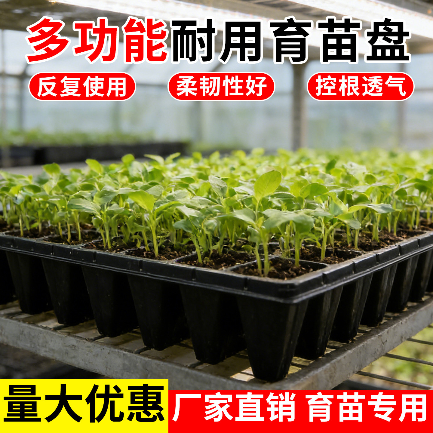 育苗盘穴盘托盘育苗盆育苗杯育苗盒蔬菜芽苗菜多功能种子秧苗种植,鲜花速递/花卉仿真/绿植园艺,育苗盘/营养钵,淘宝优惠券,粉丝福利购,淘宝优惠卷