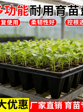多功能塑料育苗盘带托盘加厚加深