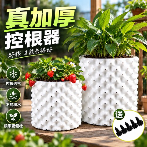 植树专用控根器白色可调节尺寸围树板排水板移苗育苗容器园林绿化