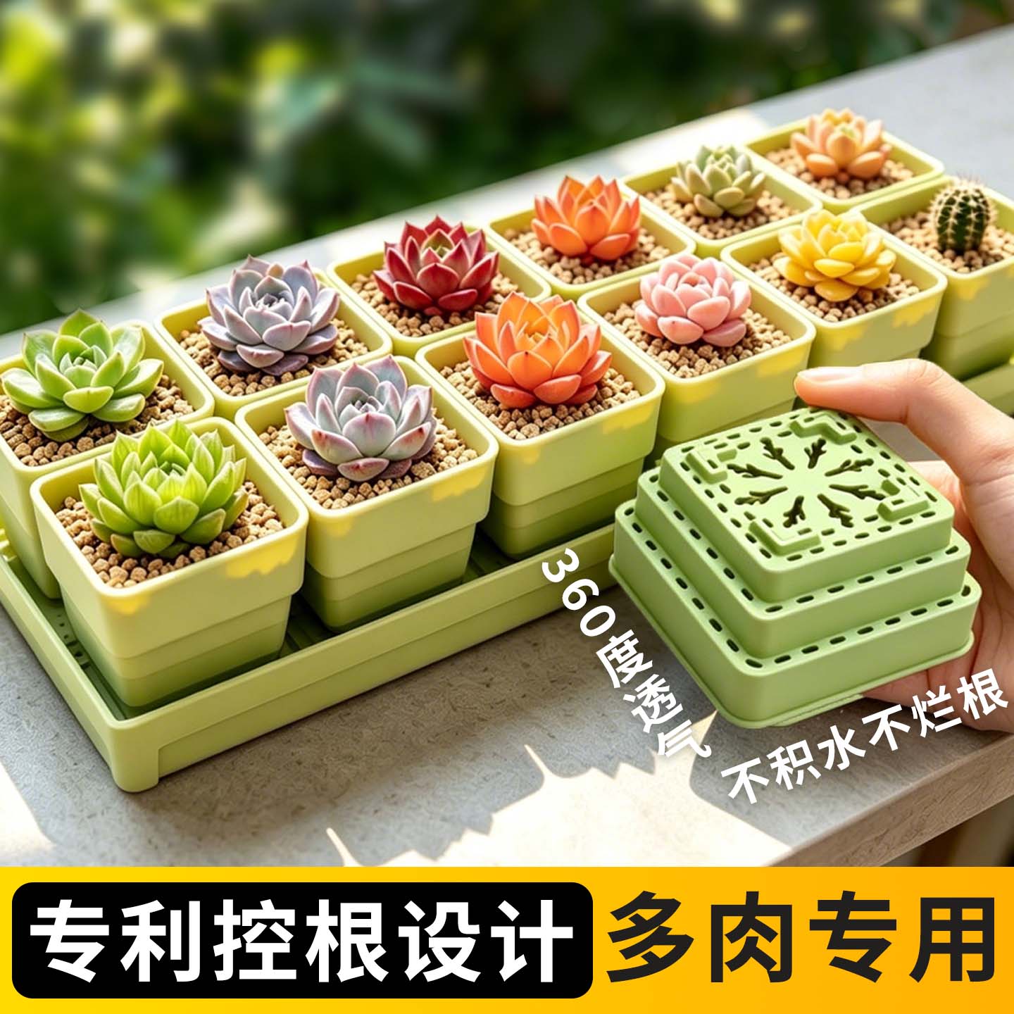 多肉专用花盆创意小白方组合树脂加厚控根透气塑料植物小巧种植盆