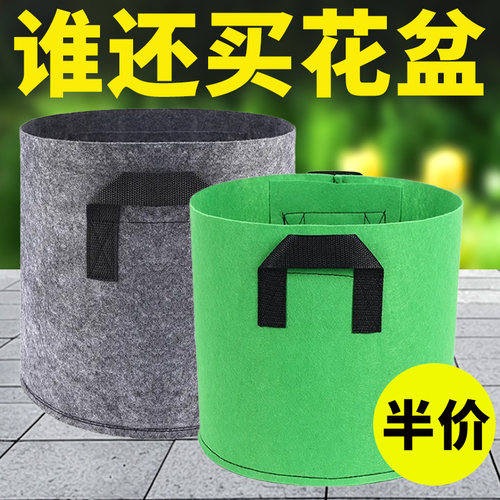 美植袋花盆无纺布种植袋育苗种菜