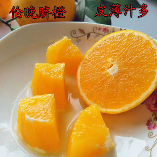 湖北秭归伦晚脐橙农家新鲜水果现摘现发手剥皮薄多汁甜橙10斤包邮