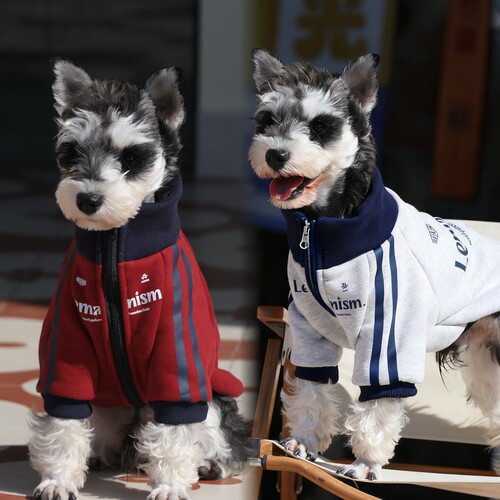 宠物加厚保暖小狗狗冬季衣服