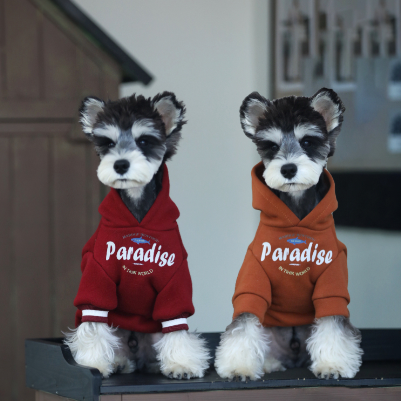 狗狗衣服小型犬雪纳瑞泰迪博美秋冬可爱保暖加绒卫衣宠物冬装衣服