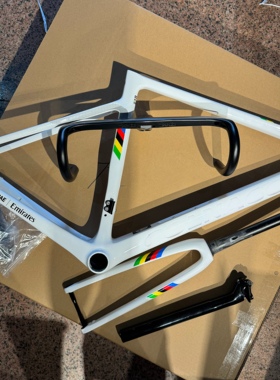 意大利梅花COLNAGO/V4RS车队版涂装订制碳纤维公路车