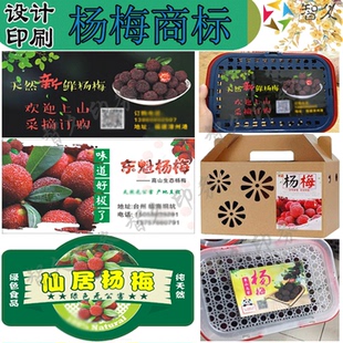 杨梅贴纸不干胶定制圣生梅白蒂梅树梅标签仙居东魁杨梅商标设计