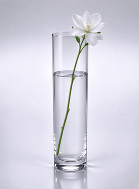 透明玻璃花瓶 水培鲜花长筒直筒饮料酒杯 客厅餐桌高级感插花器