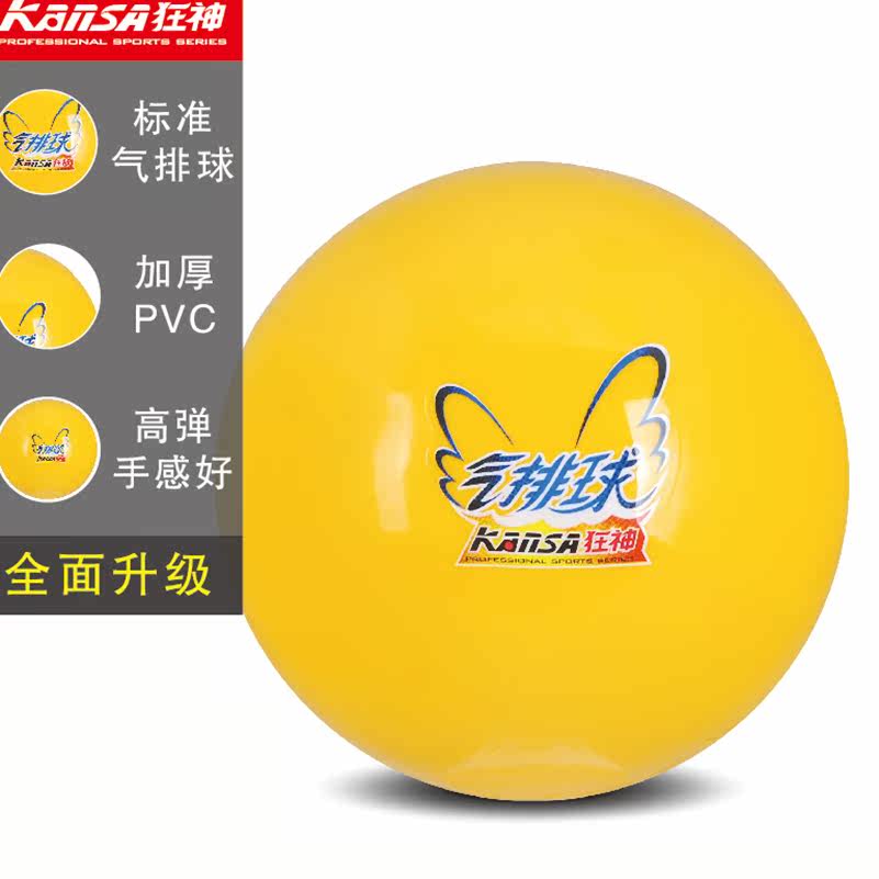 Ballon de volley-ball - Ref 2012478 Image 1