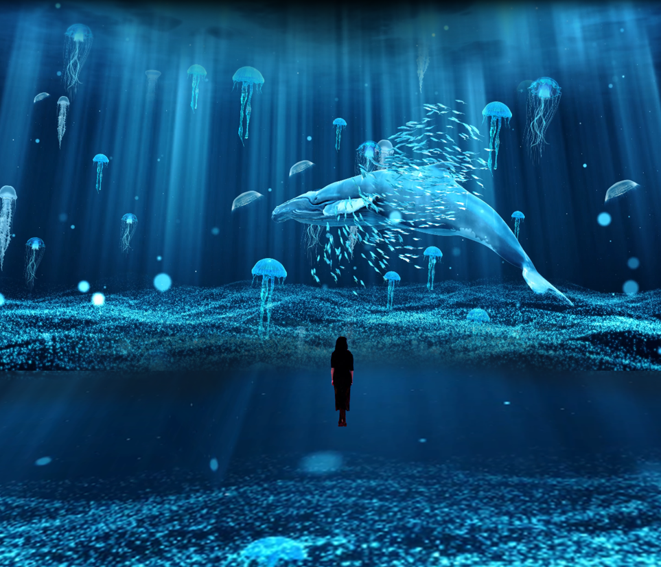 6k超宽屏led投影沉浸式数字全息艺术展vj海洋世界裸眼3d视频片源