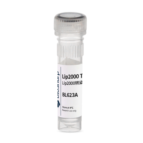 Lip2000转染试剂BL623A