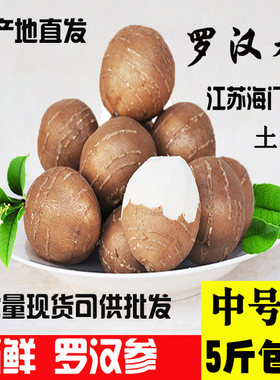 单县罗汉参野洋芋细皮香芋药食同