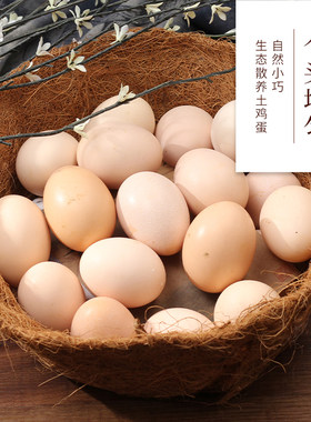 长顺县农家散养土鸡蛋