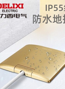 德力西IP55级防水地插座家用暗全铜金银色五孔隐形嵌入式翻盖耐磨