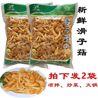 食用菌野山菌 清水滑子菇 腌渍蘑菇 800克*2袋 新鲜滑子菇包邮