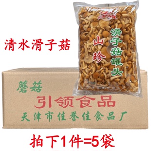 整箱包邮2㎏×5包 食用菌 野山菌 滑子菇 腌渍蘑菇清水蘑菇2000克
