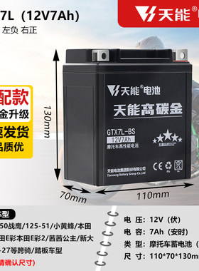 摩托车电池12v7a大公主茜茜150新大洲125T小战鹰飞梦E彩E影小黄蜂