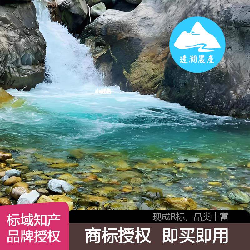 【远涧】商标授权许可R品牌出租珠宝农产品营销设计教育娱乐餐饮