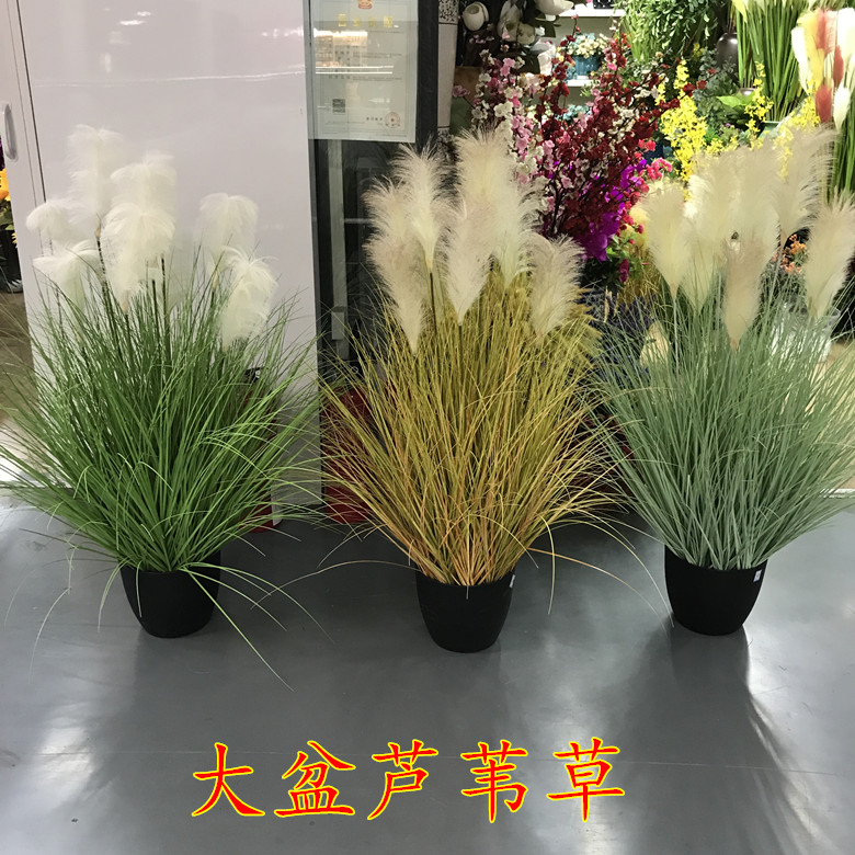 干花狗尾草水生北欧风仿真芦苇