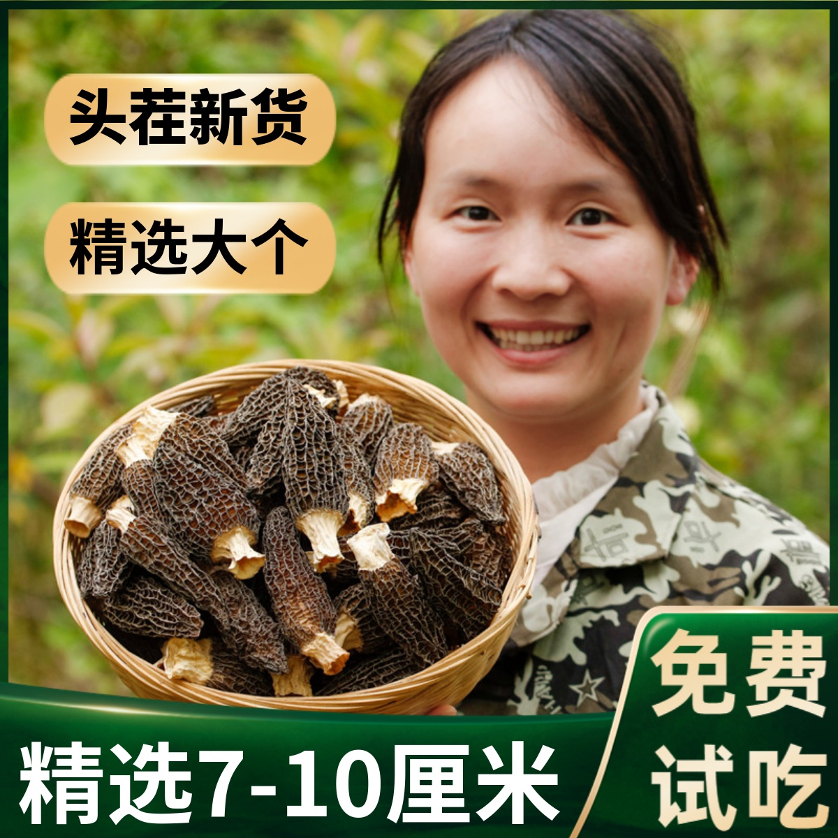 2025年云南精选头茬短柄羊肚菌