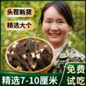 500g精选云南羊肚菌干货非野生羊肚菇干品头茬新货蘑菇菌类特产