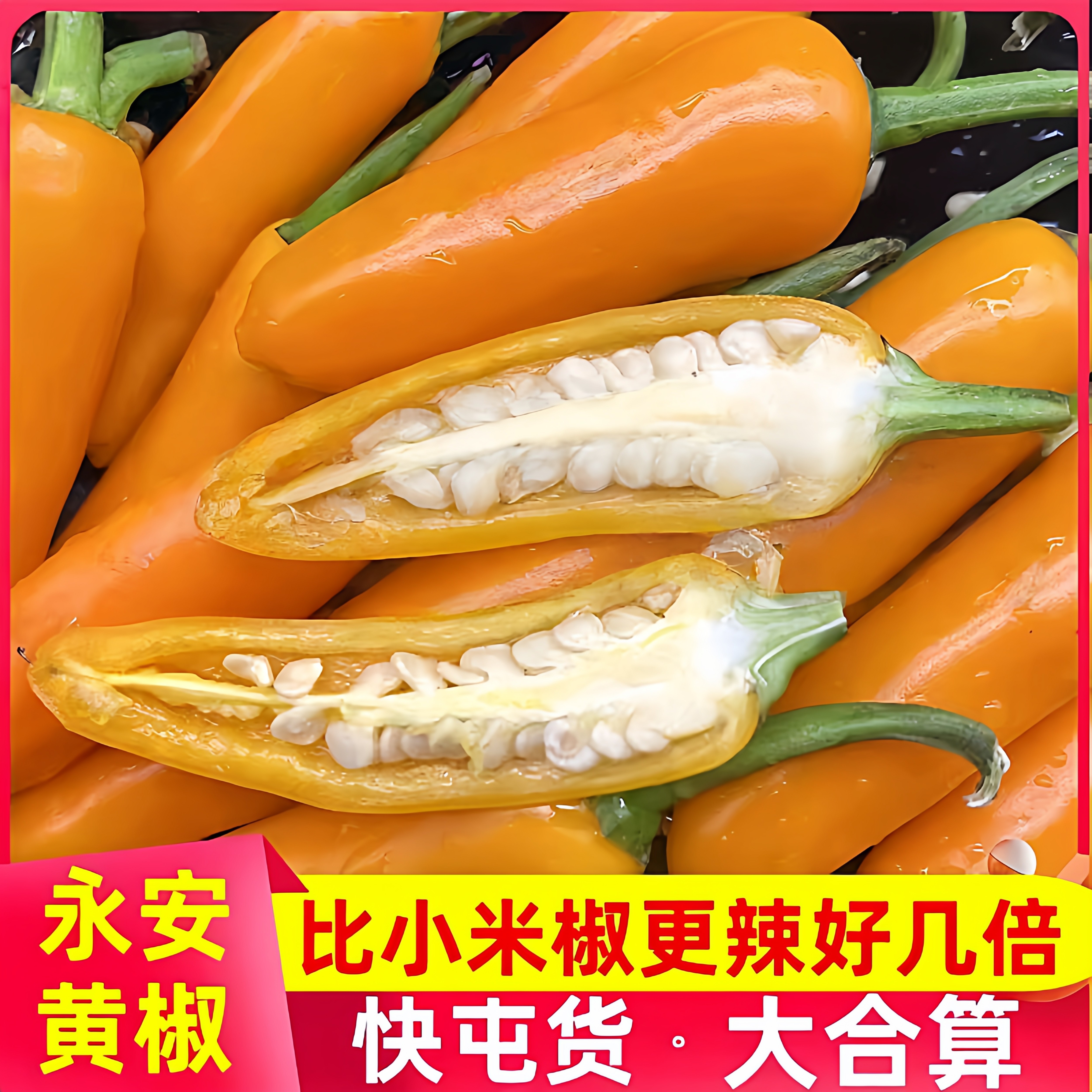 黄椒辣椒苗秧苗黄辣椒种苗黄彩椒苗黄椒种子黄彩椒种籽四季盆栽苗