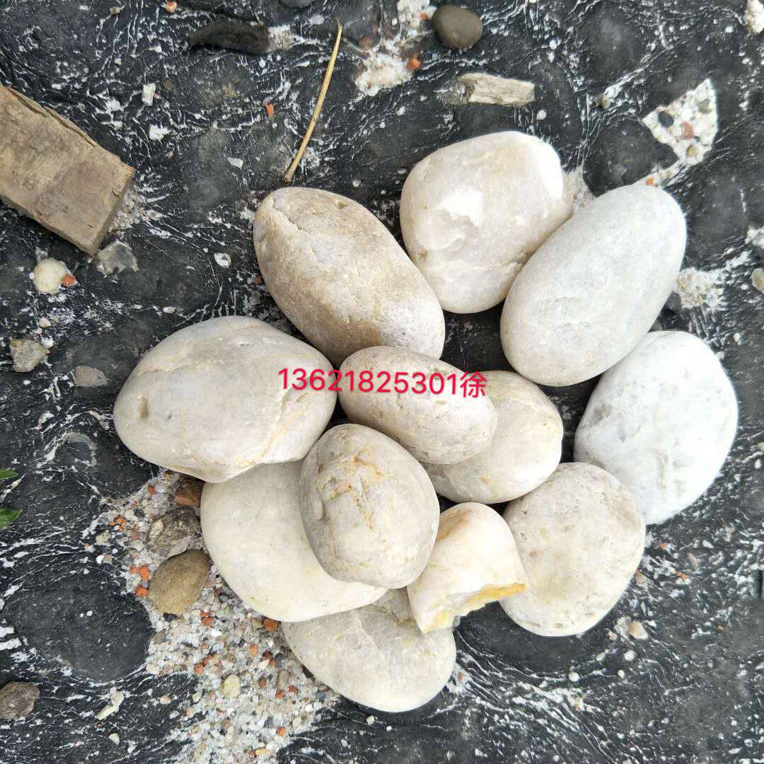 灰白色白色石头石子天然鹅卵石装饰铺面石子路填缝健身路鱼池铺底