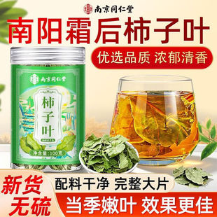 南京同仁堂柿子叶茶鲜采霜后中草药材正品压野生降干柿叶绞股蓝
