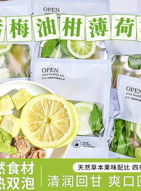话梅油柑柠檬薄荷茶夏日饮实料无添加解腻暑水果茶独立小包装冻干