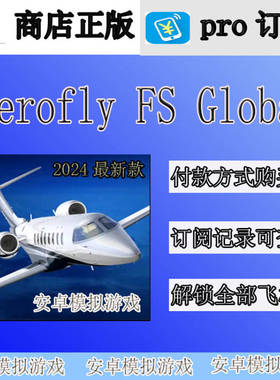 aerofly fs 2024 Aerofly FS Global AF2024全球高清地图 飞机