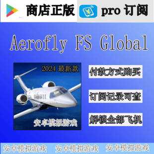 Aerofly 2024 Global 飞机 aerofly AF2024全球高清地图