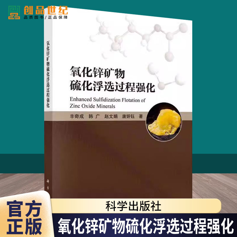 正版包邮 氧化锌矿物硫化浮选过程强化 丰奇成 等 著 科学出版社 冶金、地质 冶金工业书籍9787030816009