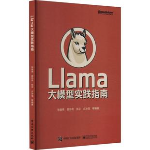 Llama大模型实践指南张俊祺 计算机与网络书籍