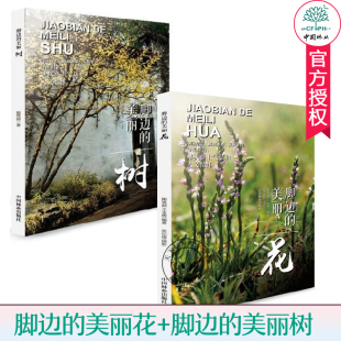 脚边的美丽花+脚边的美丽树 2本套装 采风乡间与树对话 寻找乡土气息和人文情怀 自然植物林业138种野花草名用处习性形态花色配对