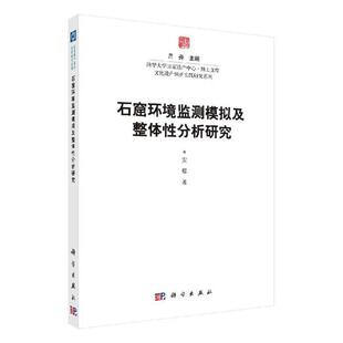 书店 正常发货 美术考古书籍 安程 石窟环境监测模拟及整体分析研究 正版 包邮