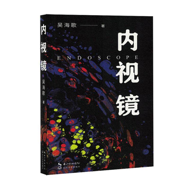 内视镜吴海歌长江文艺出版社9787570236503 文学书籍