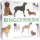 BINGO 狗狗游戏艾玛·阿瓜多文 智力游戏儿童读物儿童读物书籍