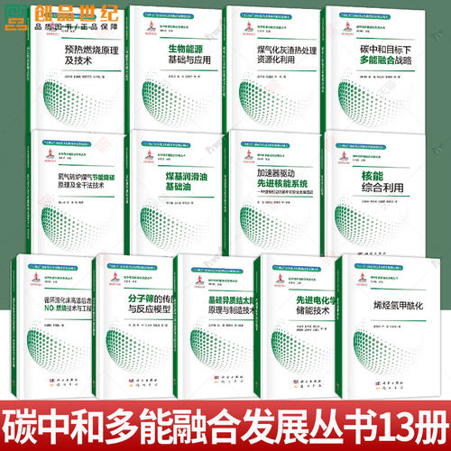 碳中和多能融合发展丛书13册任选 碳中和目标下多能融合战略 氧气转炉煤气节能降碳原理及全干法技术 先进电化学储能技术等