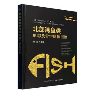 北部湾鱼类形态及骨学影像图鉴康斌  自然科学书籍