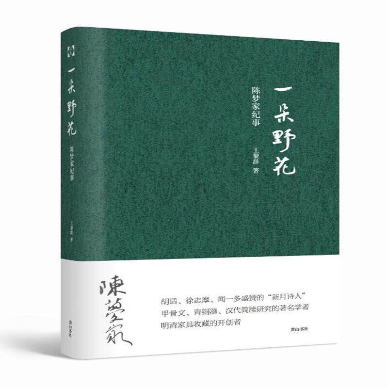 一朵野花(陈梦家纪事)黎群普通大众陈梦家生平事迹传记书籍