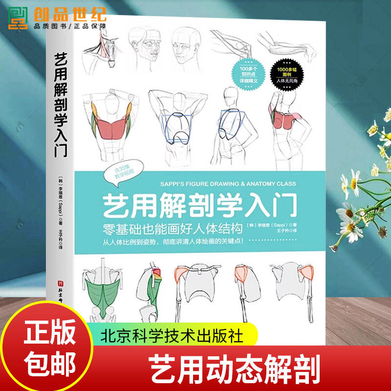艺用解剖学人门 零基础也能画好人体结构 李瑞恩 从人体比例到姿势 彻底讲清人体绘画的关键点 解剖学 新手学画画书籍