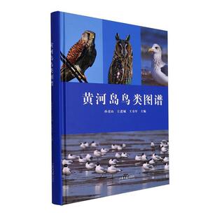 黄河岛鸟类图谱孙虎山 自然科学书籍