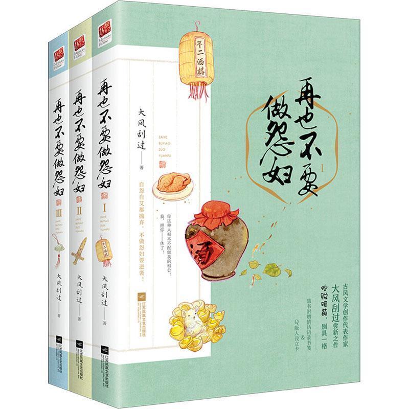 再也不要做怨妇大风刮过 长篇小说中国当代小说书籍