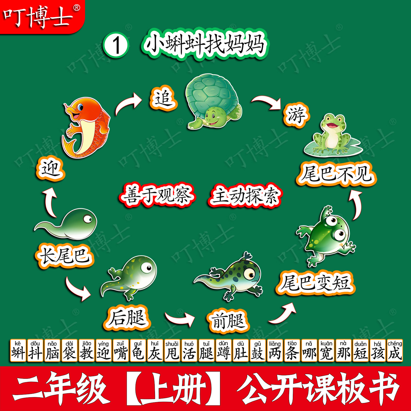 小蝌蚪找妈妈公开课板贴板书教具图片