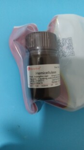 索莱宝  半纤维素酶  15ku