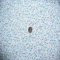 Elastic linen chiffon printed fabric, light blue base polka dot slightly translucent silk-like fabric, new summer dress material thumbnail 4