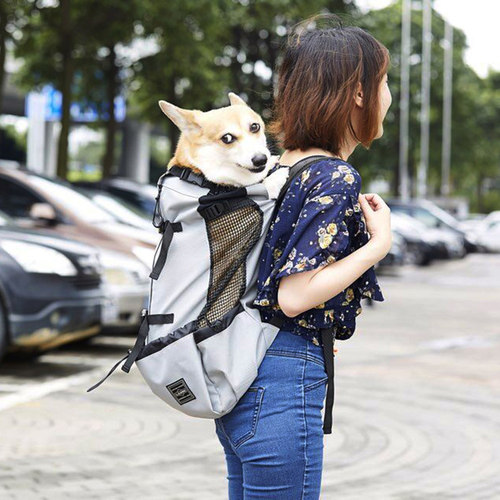日本道格狗狗背包猫咪柴犬法斗k9