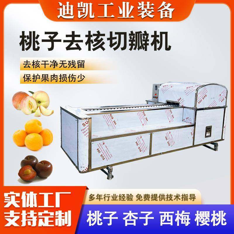黄桃去核打浆机果酒酿造果肉粉碎脱核机西梅荔枝油柑不锈钢去核机
