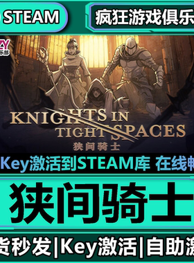 Steam正版狭间骑士 全DLC激活码CDK入库 Knights in Tight Spaces