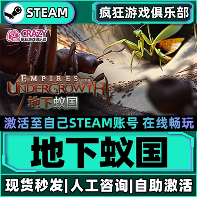 Steam地下蚁国激活自己库里游戏